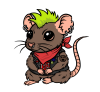rat cute