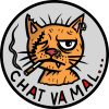 chat va mal 25mm
