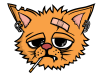 sad cat