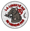rat prend magnet