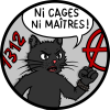chat sans cages