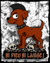 chien rouge sans dieu